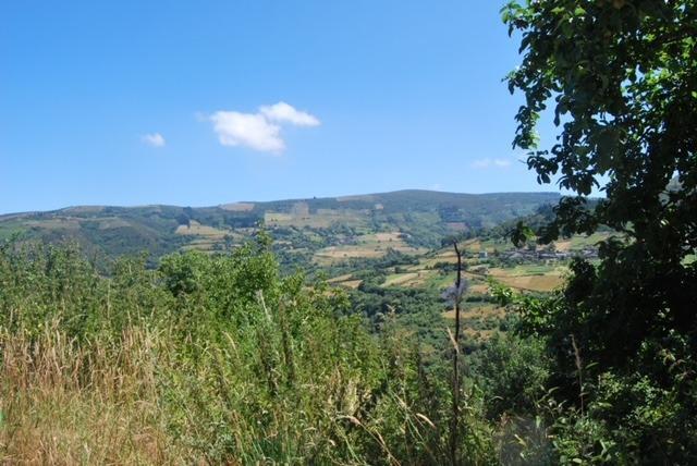 Pisos-Venta-A Pontenova-815176-Foto-2