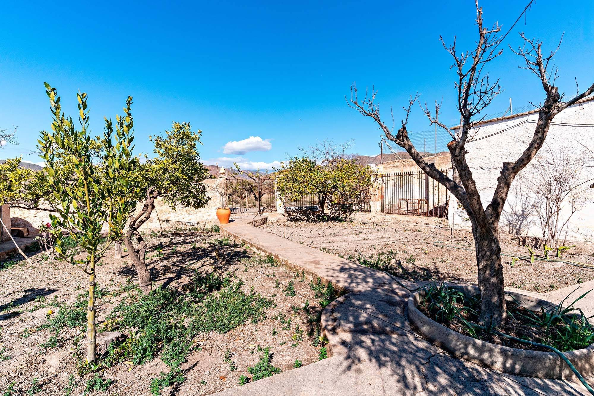 Casas o chalets-Venta-Berja-1587503-Foto-36