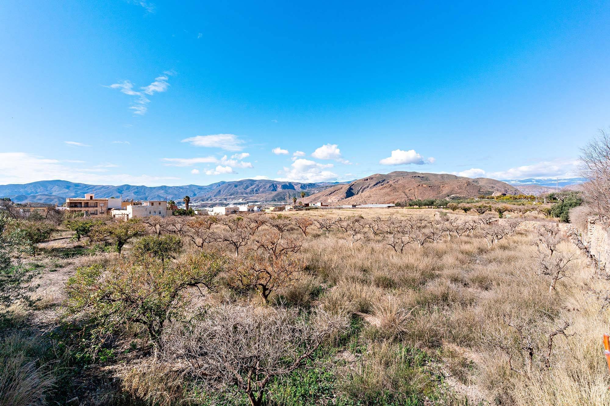 Casas o chalets-Venta-Berja-1587503-Foto-43