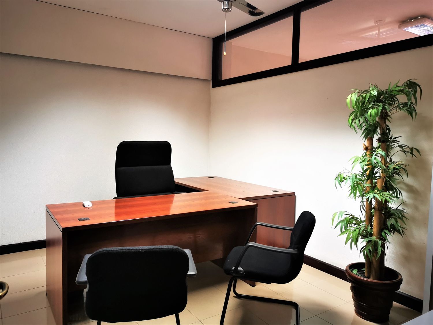 Oficinas-Alquiler-Las Palmas de Gran Canaria-493372-Foto-4