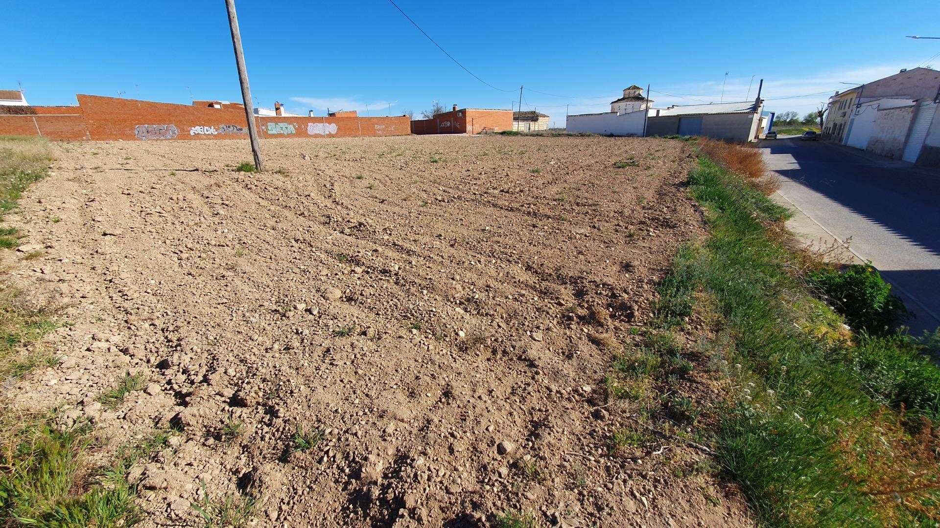 Fincas y solares-Venta-Villanueva de Alcardete-994929-Foto-4