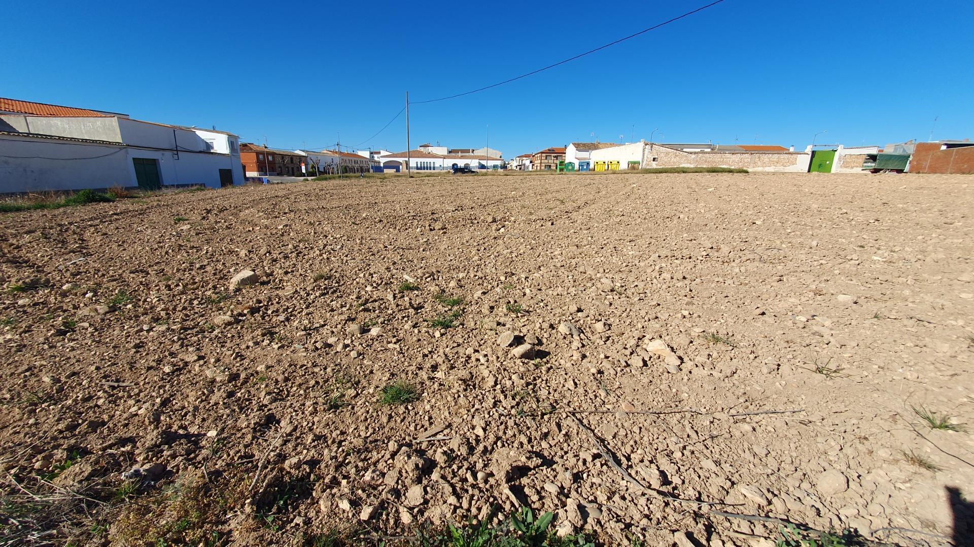 Fincas y solares-Venta-Villanueva de Alcardete-994929-Foto-5