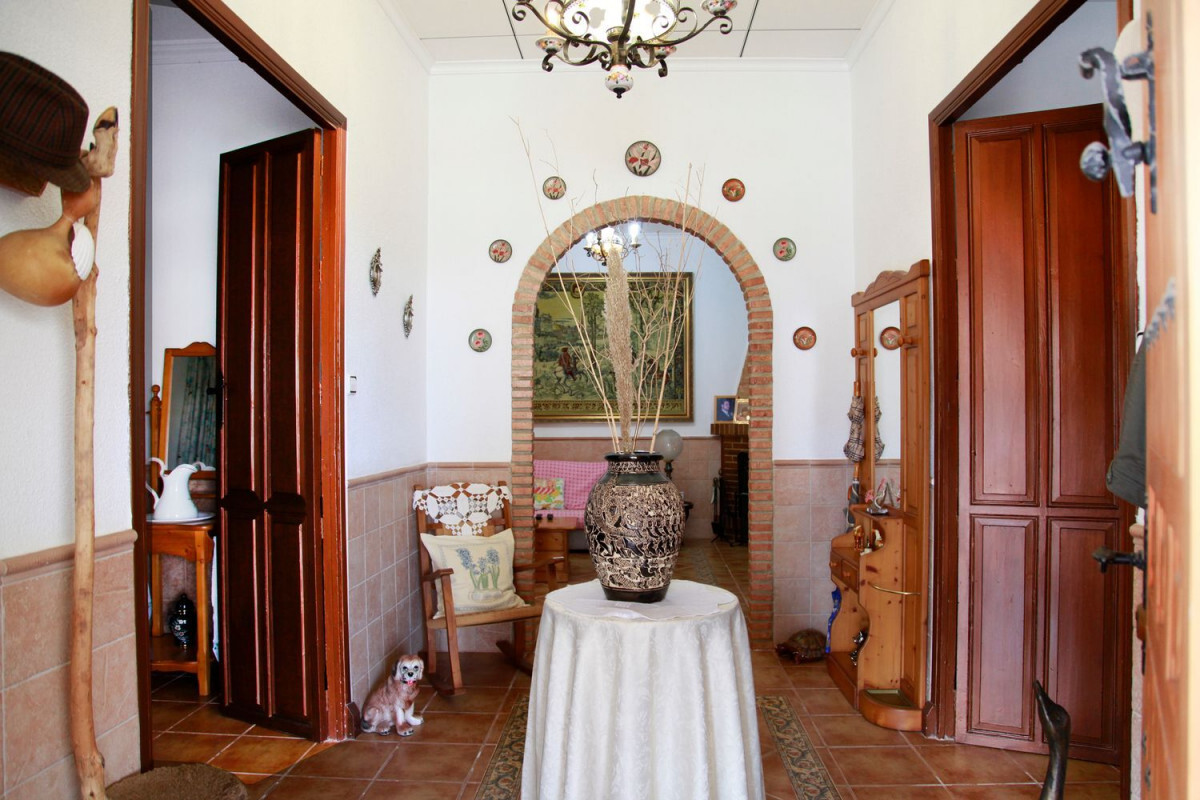 Casas o chalets-Venta-La UniÃ³n-1634672-Foto-13