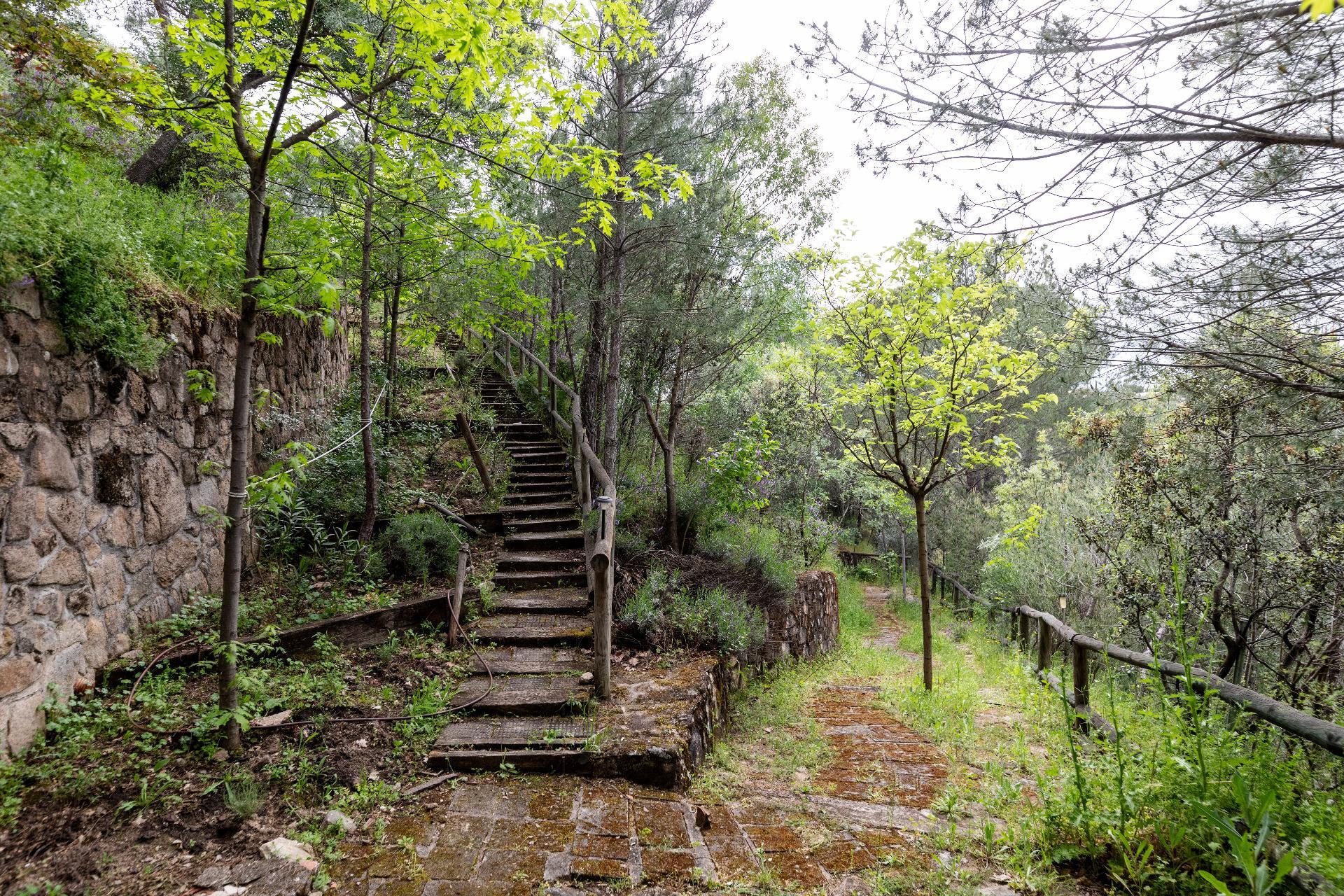 Casas o chalets-Venta-Las Rozas de Madrid-1768441-Foto-21