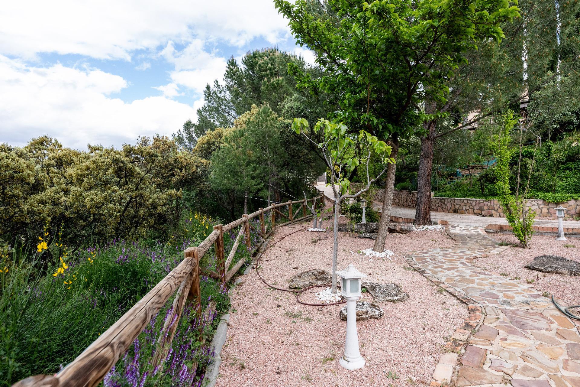 Casas o chalets-Venta-Las Rozas de Madrid-1768441-Foto-22