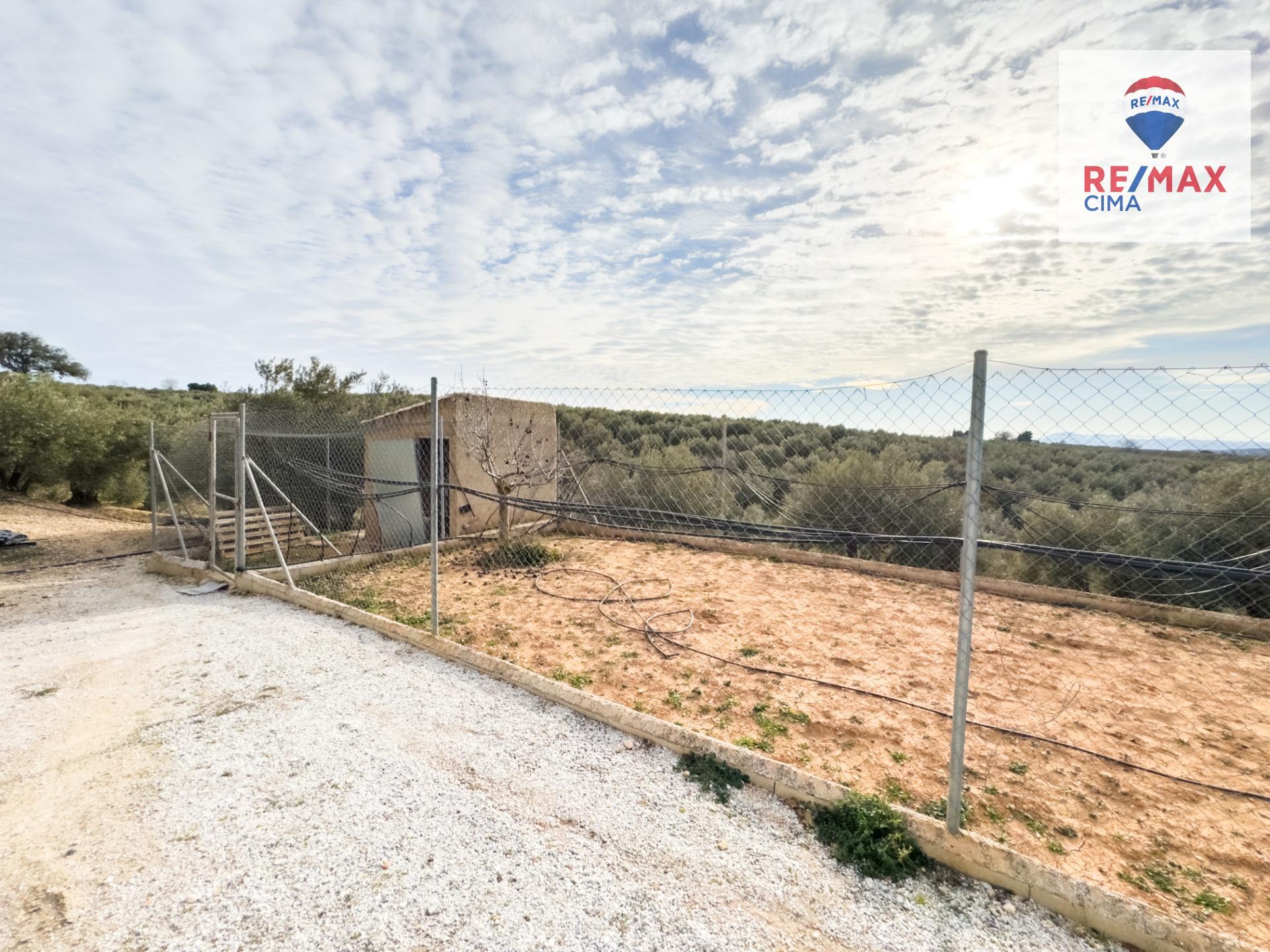 Pisos-Venta-Pozo AlcÃ³n-1524139-Foto-29