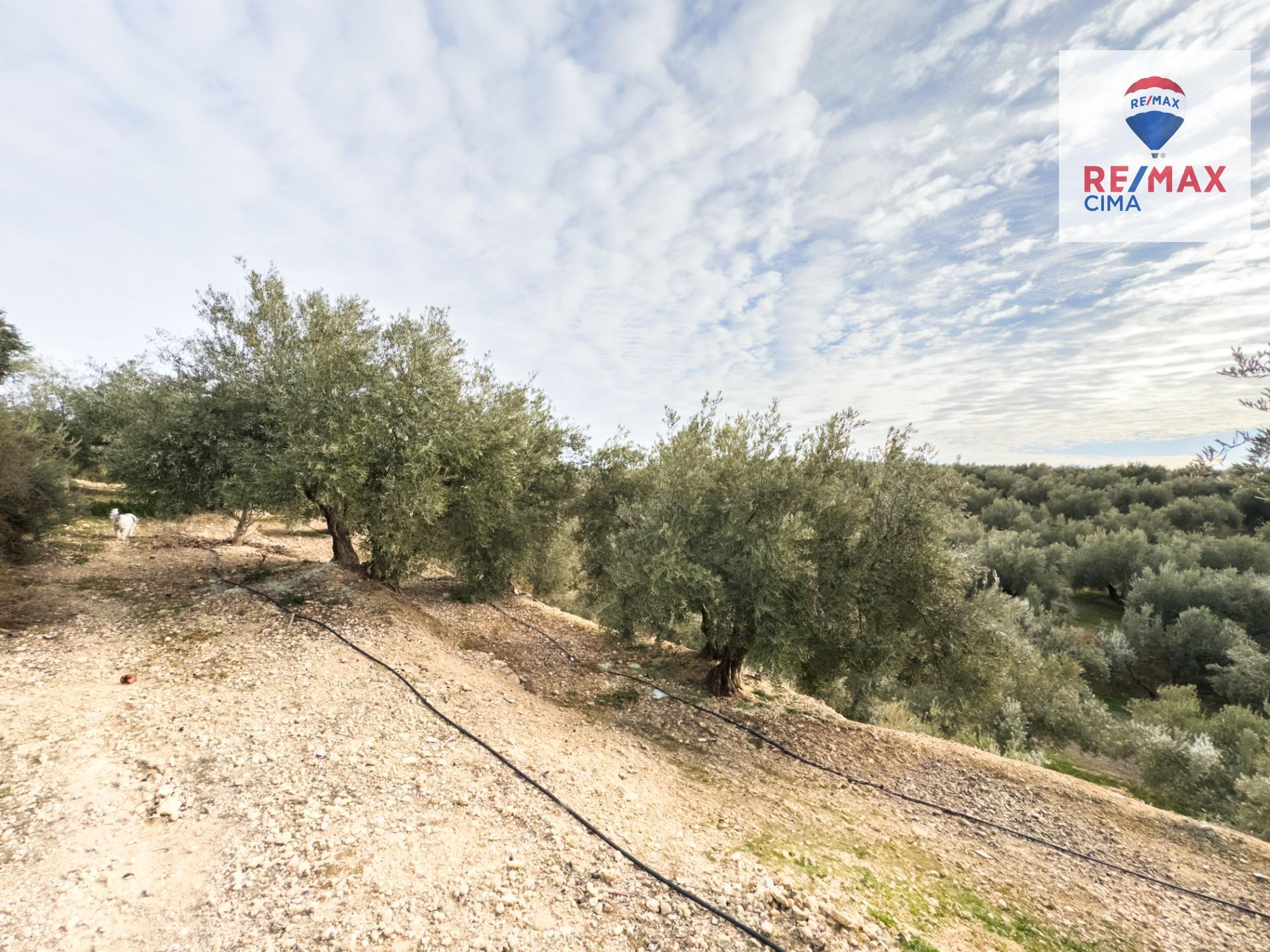 Pisos-Venta-Pozo AlcÃ³n-1524139-Foto-32