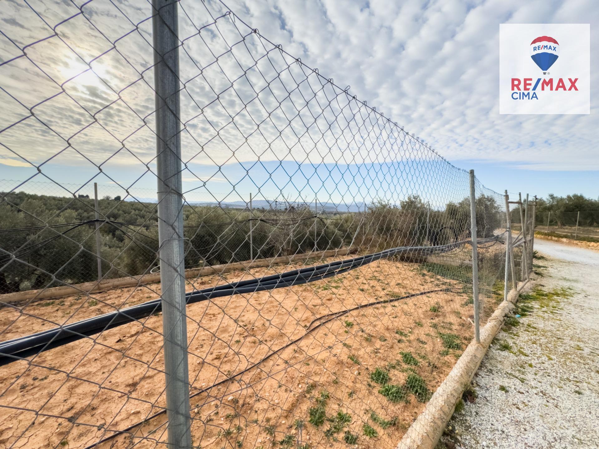 Pisos-Venta-Pozo AlcÃ³n-1524139-Foto-30