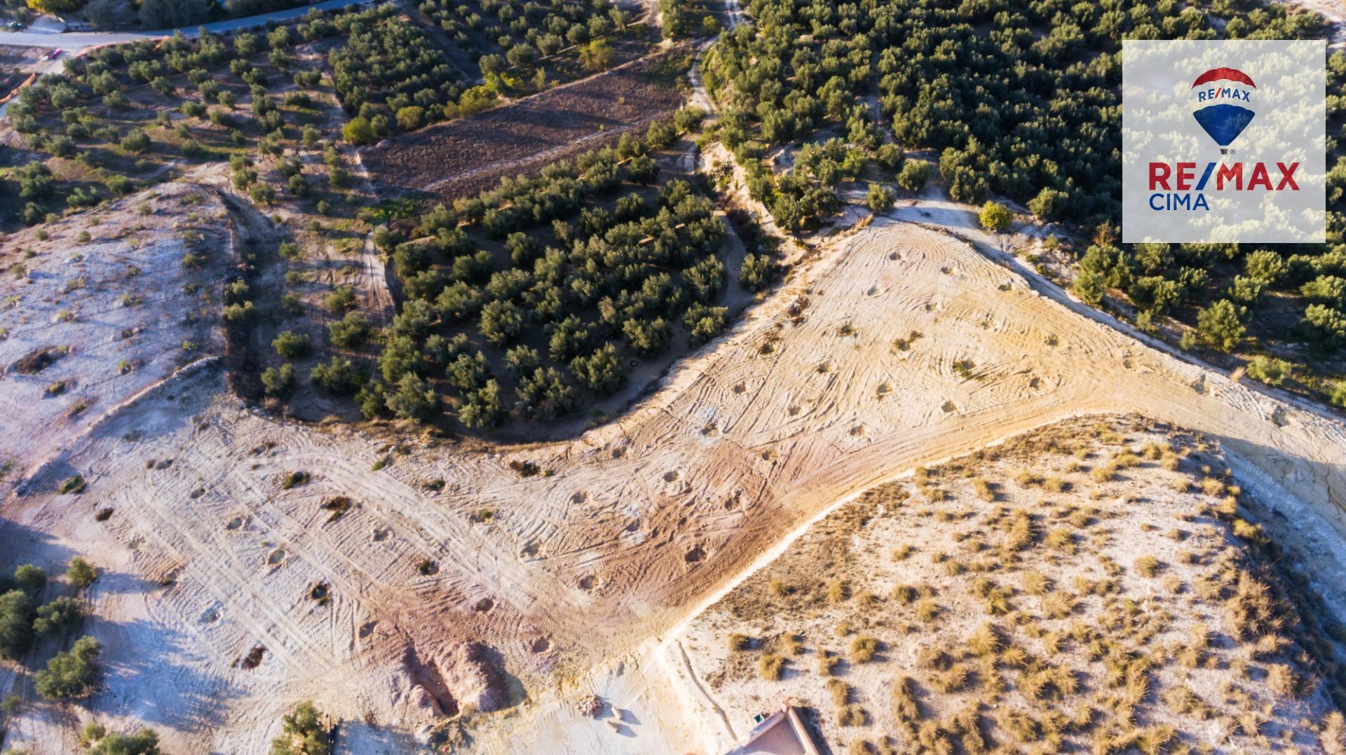 Pisos-Venta-Cuevas del Campo-1480312-Foto-14