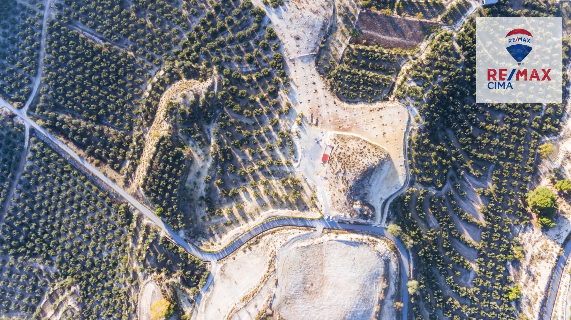 Pisos-Venta-Cuevas del Campo-1480312-Foto-21