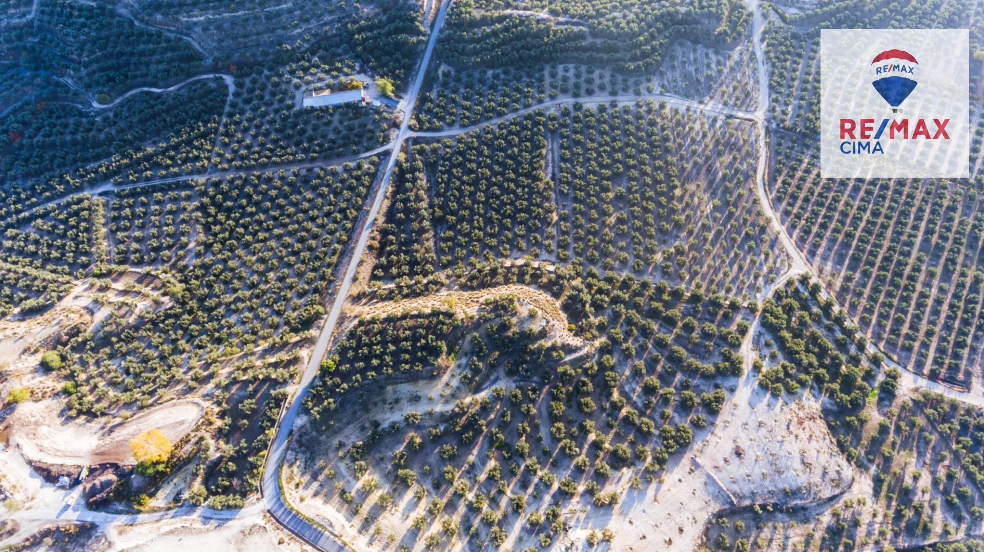 Pisos-Venta-Cuevas del Campo-1480312-Foto-24