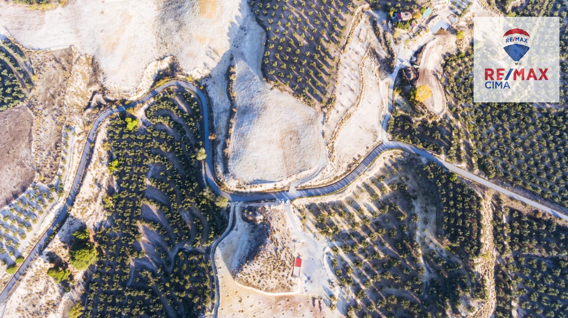 Pisos-Venta-Cuevas del Campo-1480312-Foto-22