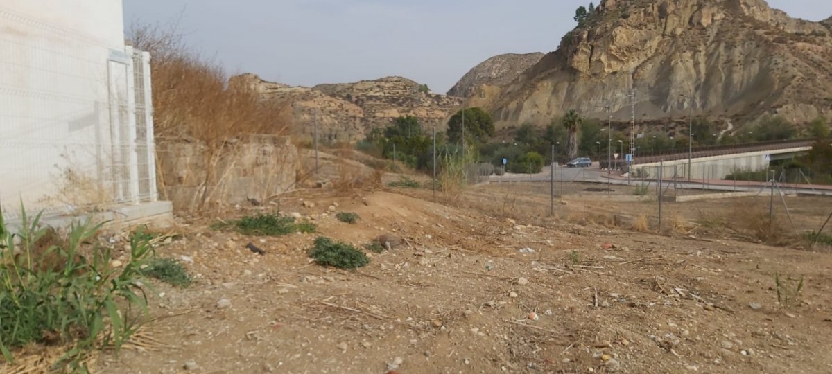 Fincas y solares-Venta-Archena-523478-Foto-3