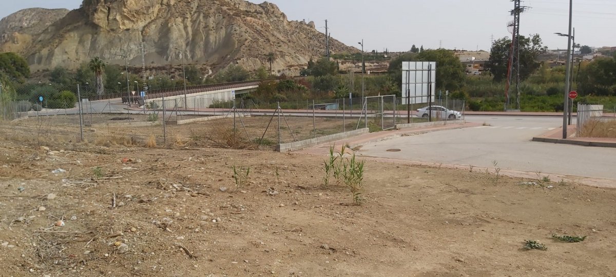 Fincas y solares-Venta-Archena-523478-Foto-5