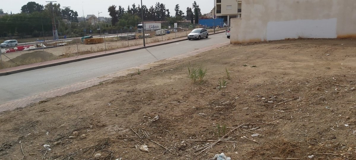 Fincas y solares-Venta-Archena-523478-Foto-11