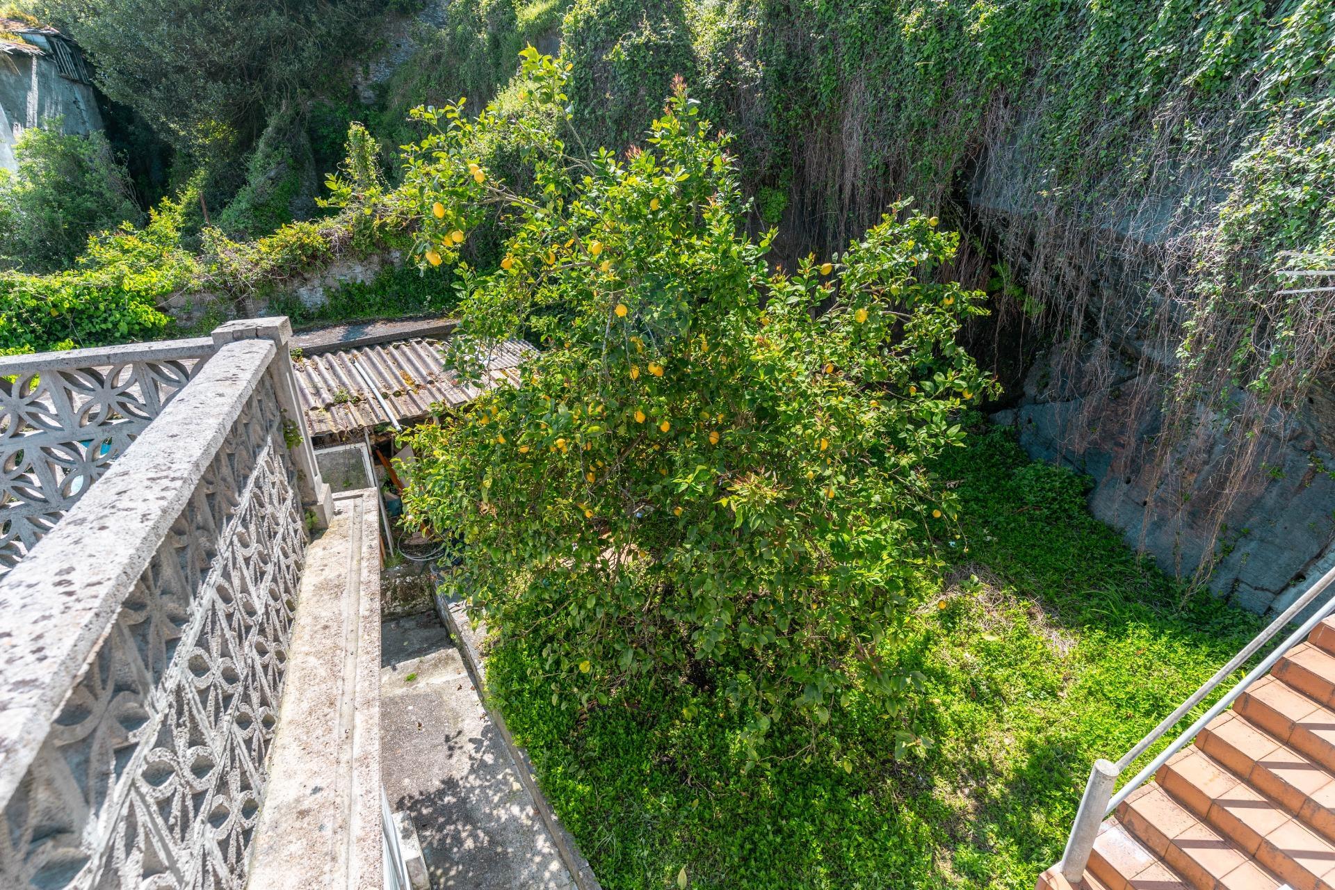 Edificios-Venta-ValdÃ©s-1088508-Foto-6
