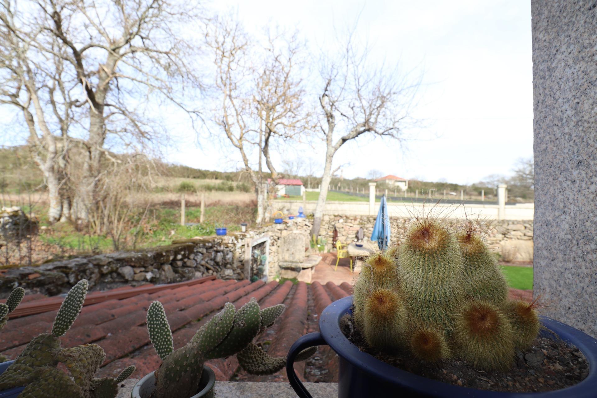 Casas o chalets-Venta-Os Blancos-1634657-Foto-34