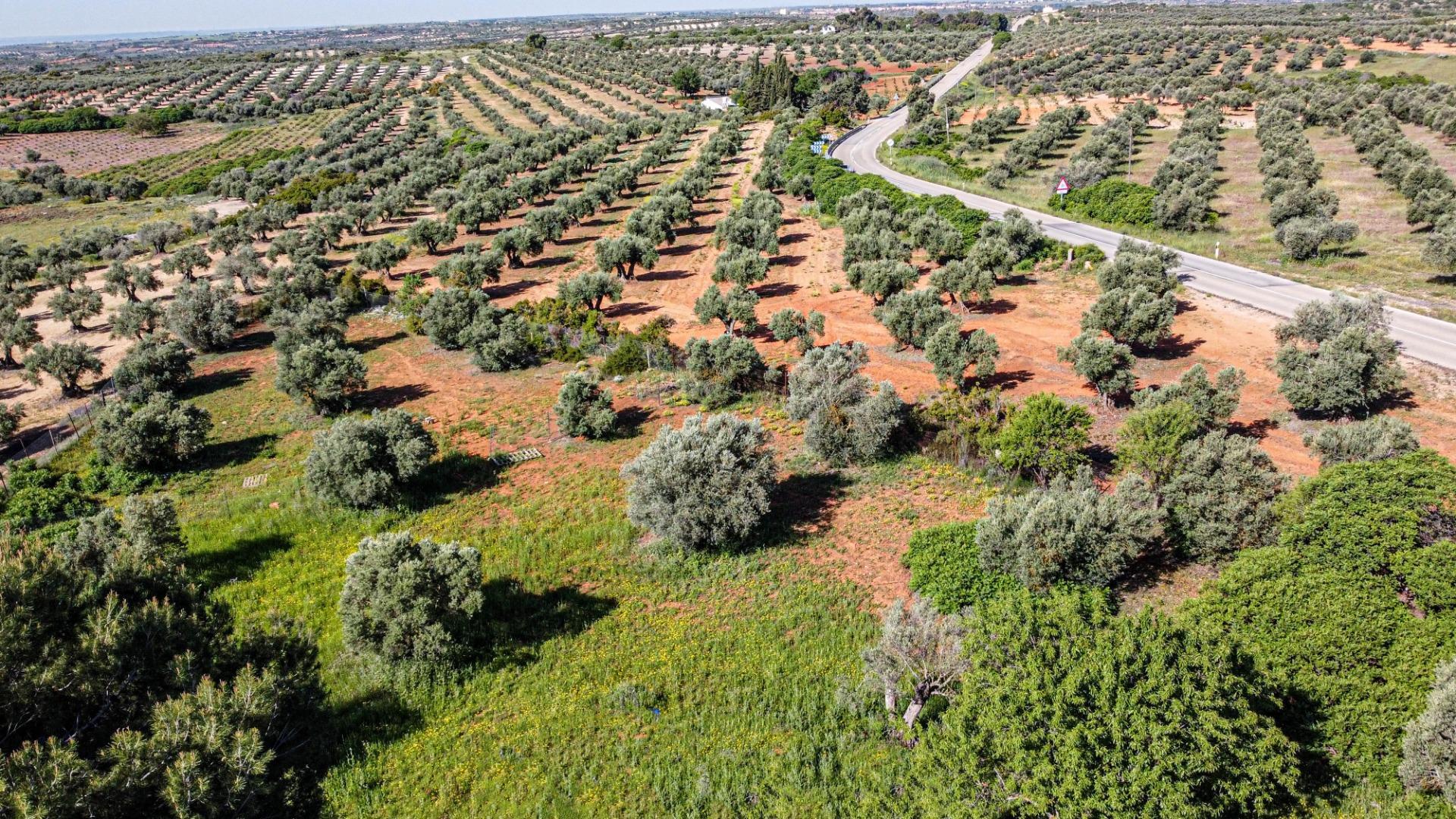 Casas o chalets-Venta-Valdaracete-1642736-Foto-6