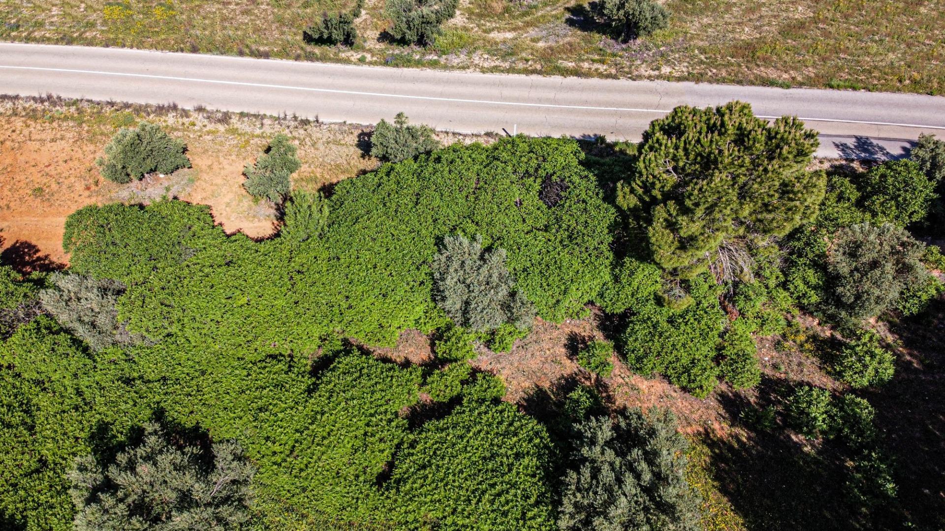 Casas o chalets-Venta-Valdaracete-1642736-Foto-3