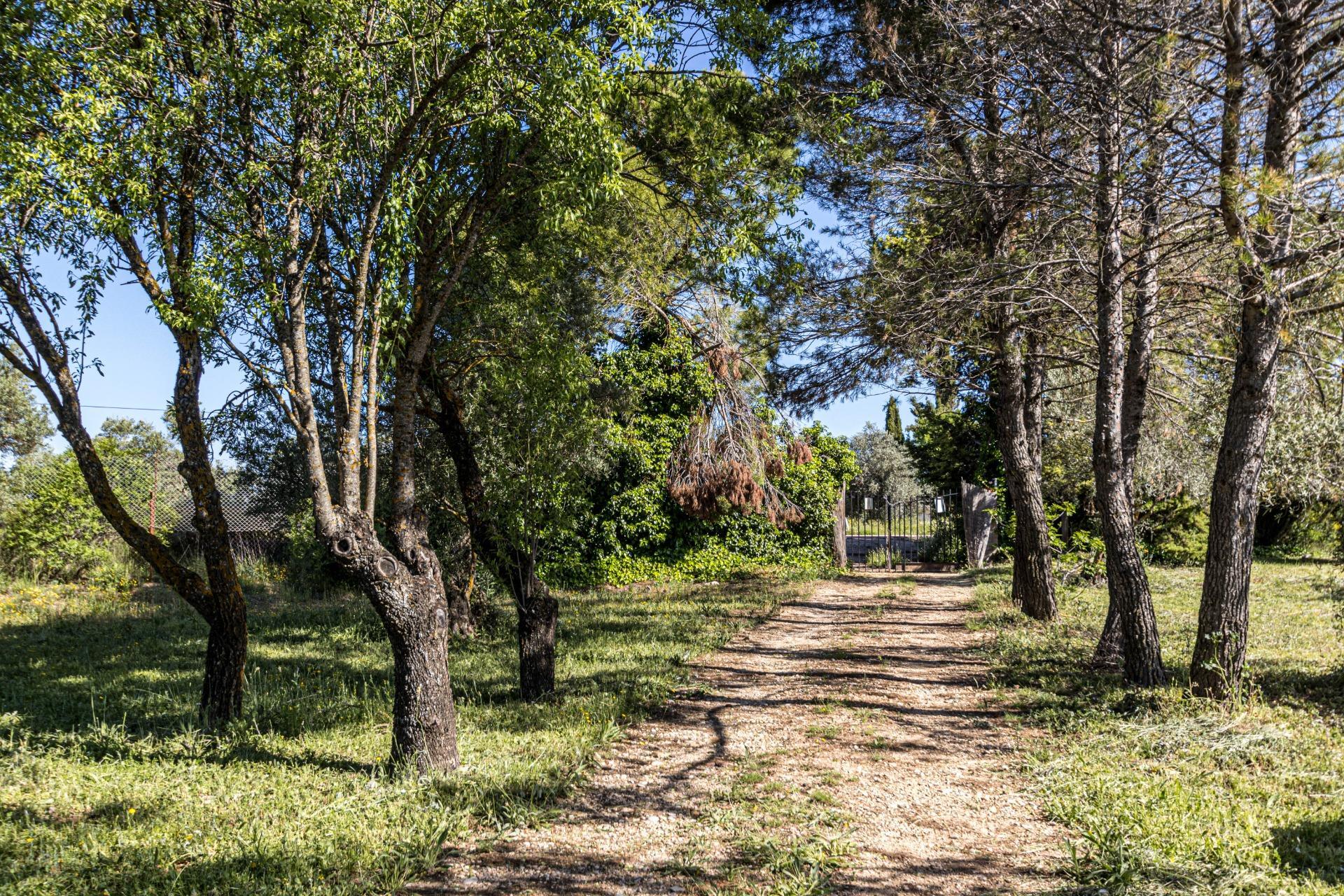 Casas o chalets-Venta-Valdaracete-1642736-Foto-7