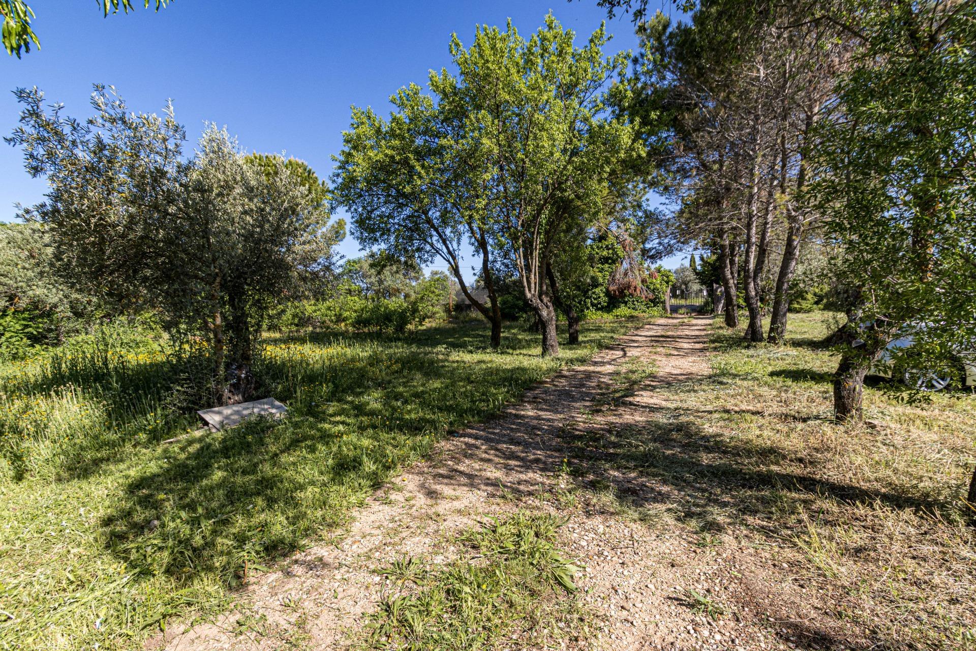 Casas o chalets-Venta-Valdaracete-1642736-Foto-26