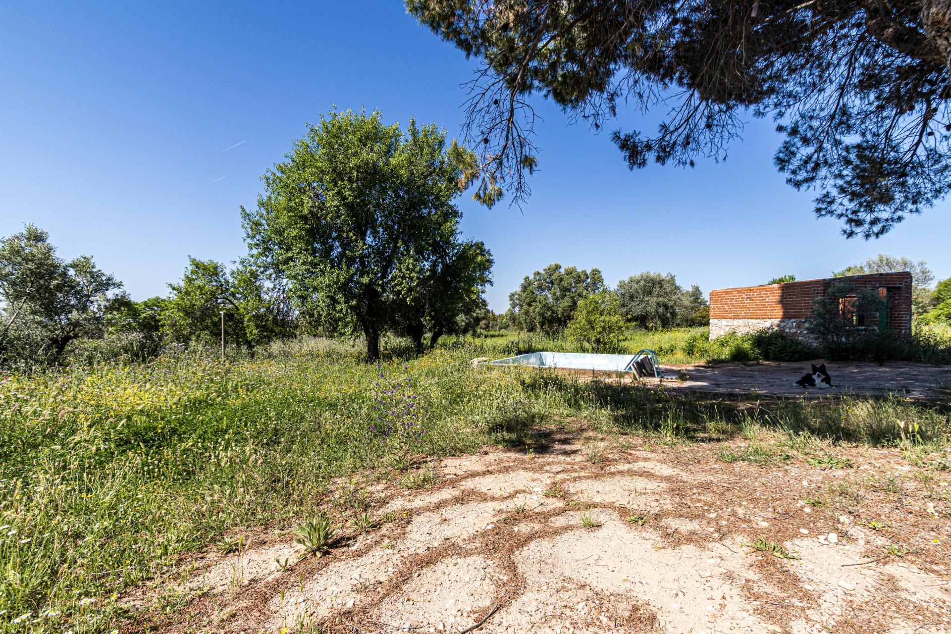 Casas o chalets-Venta-Valdaracete-1642736-Foto-22