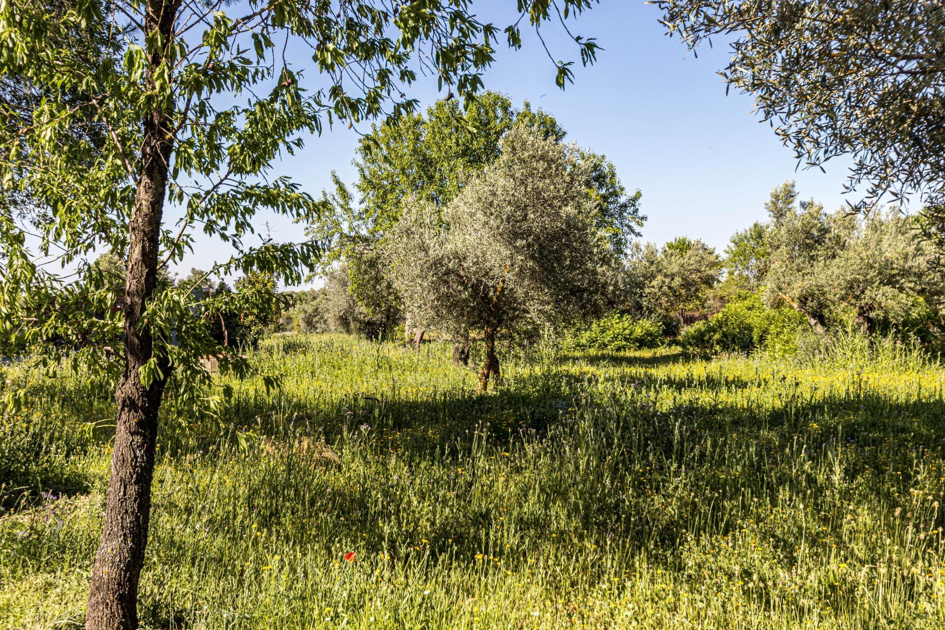 Casas o chalets-Venta-Valdaracete-1642736-Foto-27