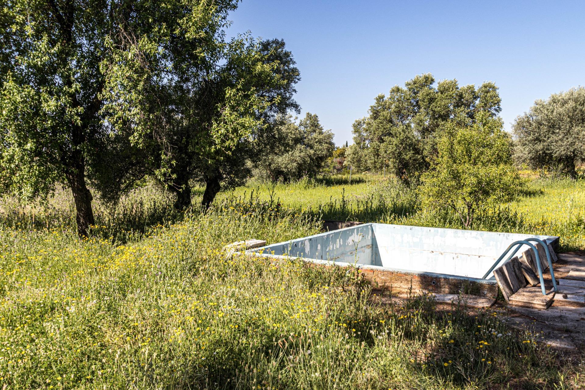 Casas o chalets-Venta-Valdaracete-1642736-Foto-28