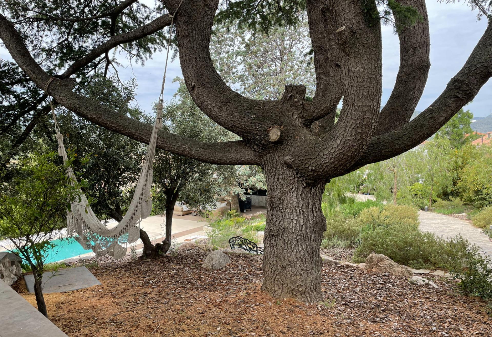 Casas o chalets-Venta-Sentmenat-1651659-Foto-72