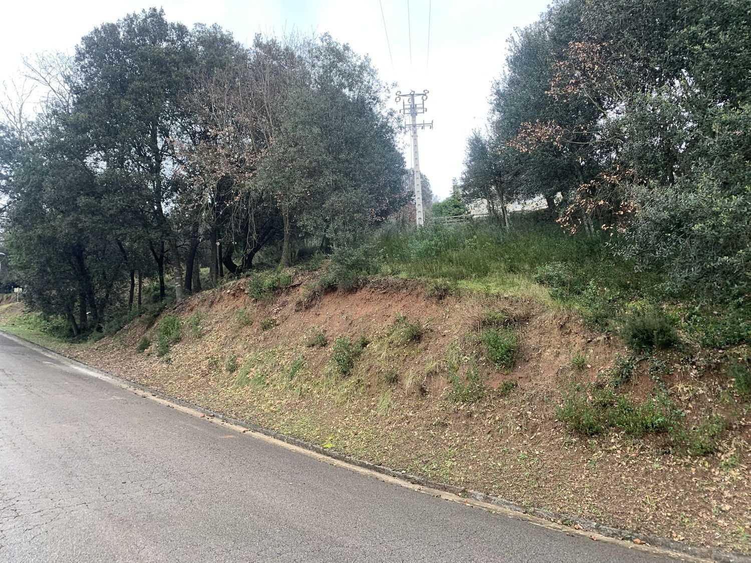 Fincas y solares-Venta-Sant Pere de Vilamajor-1652316-Foto-9