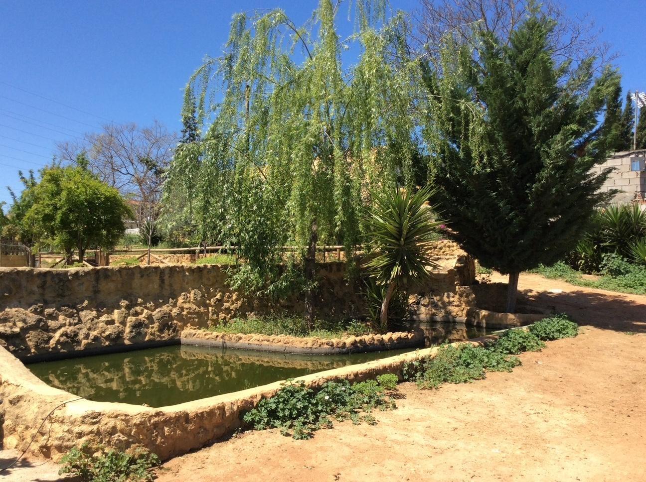 Fincas y solares-Venta-AlcalÃ¡ de GuadaÃ­ra-1537982-Foto-8