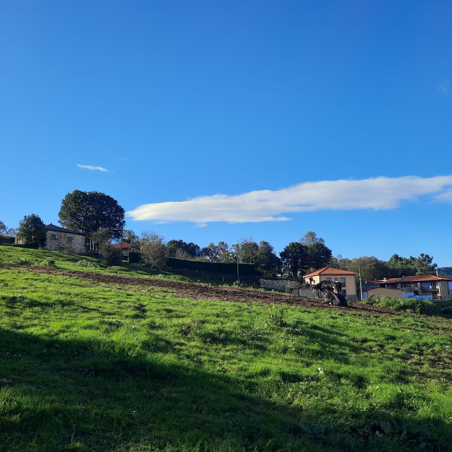 Fincas y solares-Venta-Cudillero-742450-Foto-6