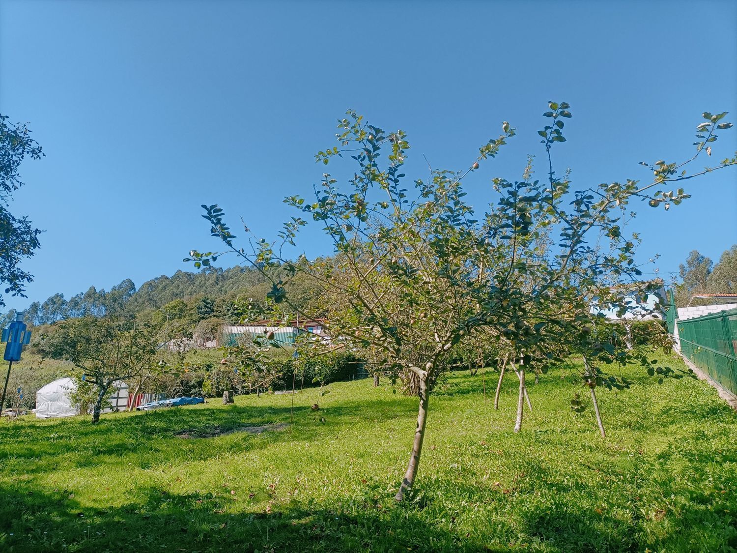 Fincas y solares-Venta-Las Tres Villas-1427644-Foto-7