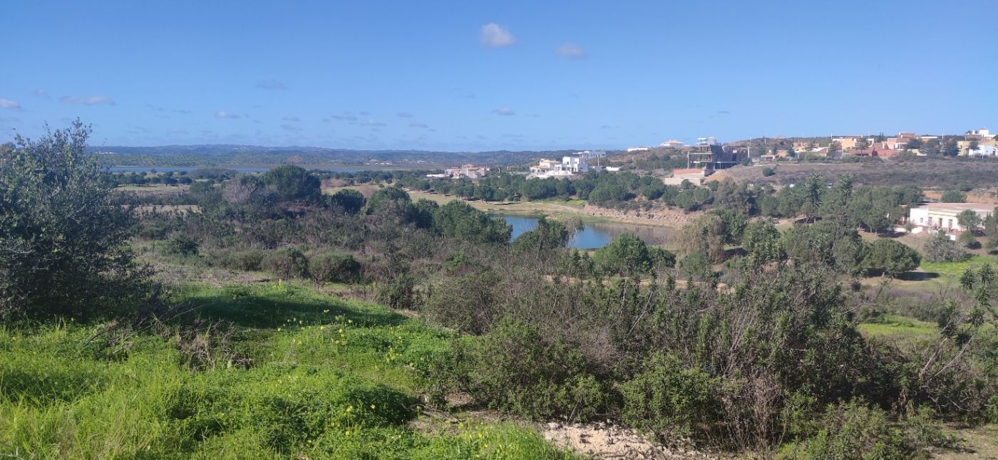 Casas o chalets-Venta-Ayamonte-1654581-Foto-36