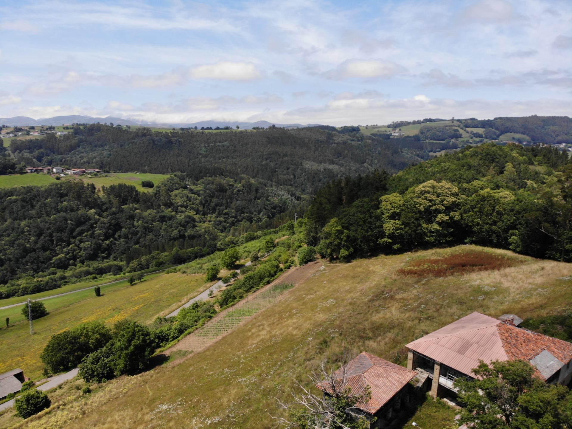 Casas o chalets-Venta-Tineo-1343127-Foto-32