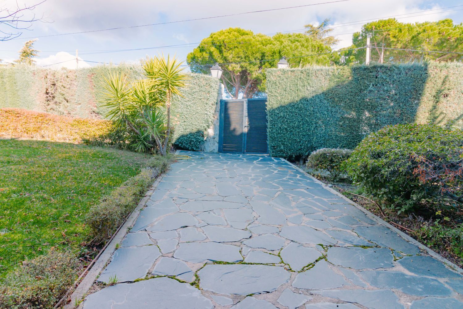 Casas o chalets-Venta-Torrelodones-1508556-Foto-3