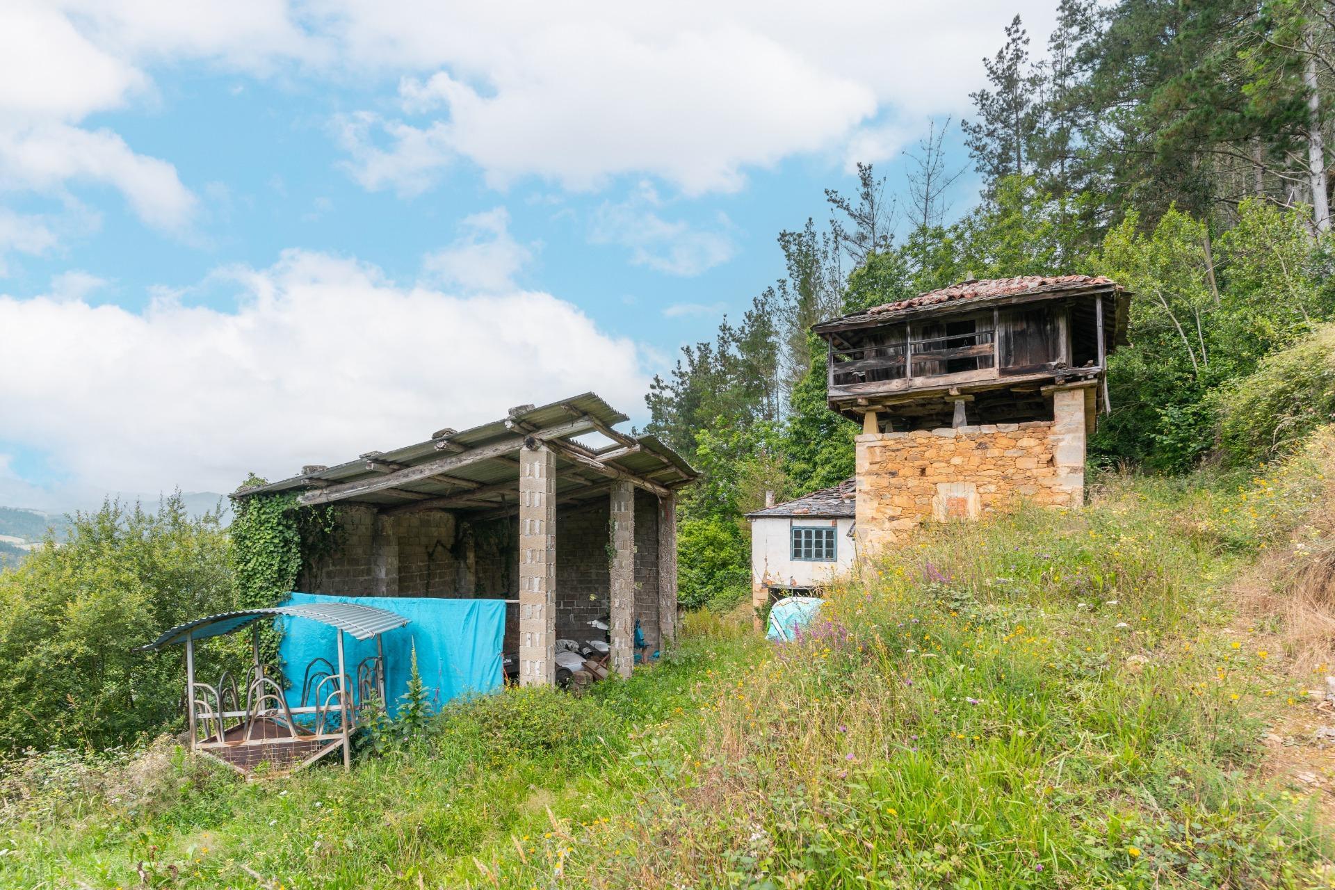 Casas o chalets-Venta-Tineo-1507573-Foto-20