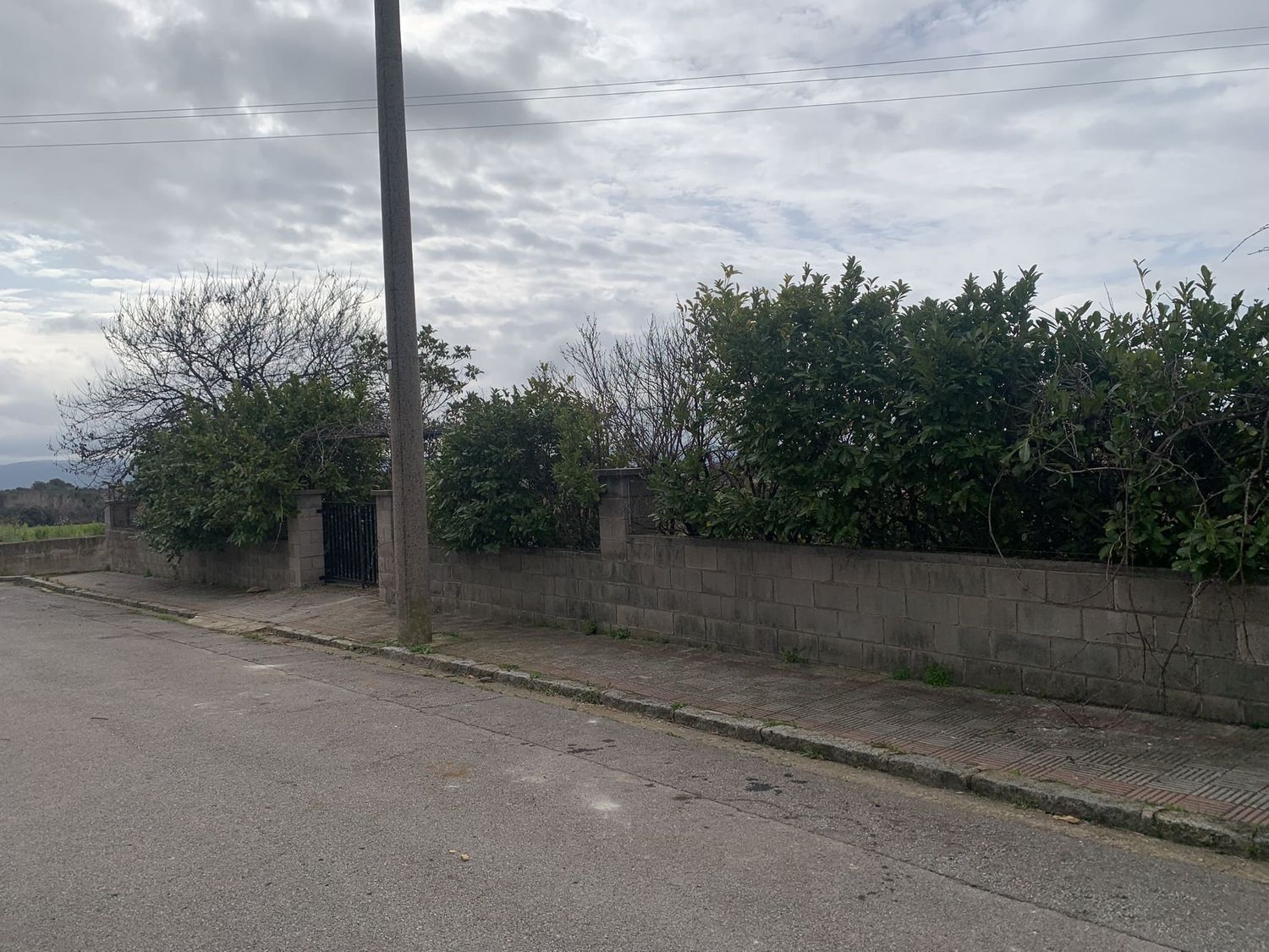 Fincas y solares-Venta-Sant Pere de Vilamajor-1655610-Foto-5