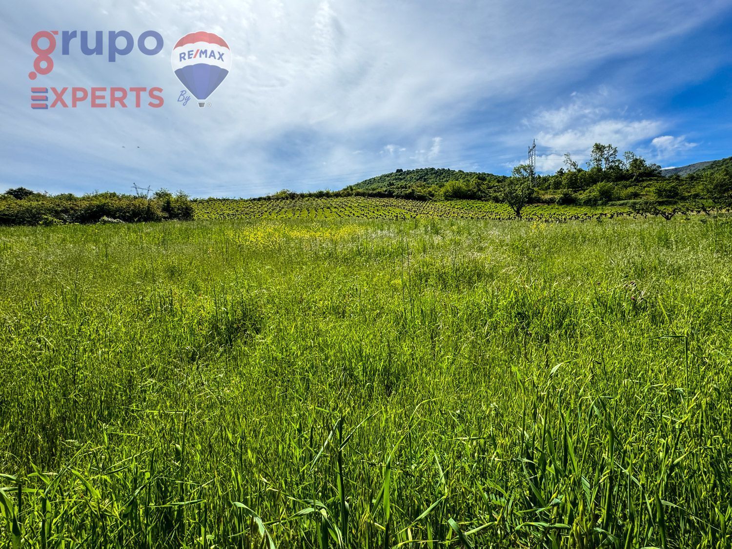 Fincas y solares-Venta-Ponferrada-1091359-Foto-9