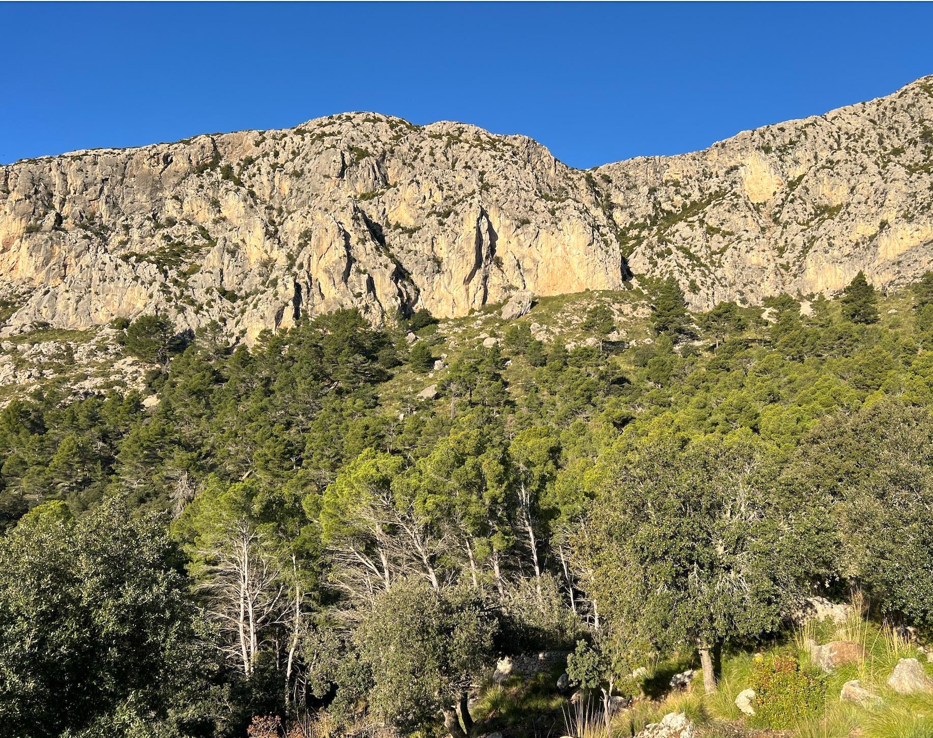 Industrial en venta  Puigpuñent  18/31