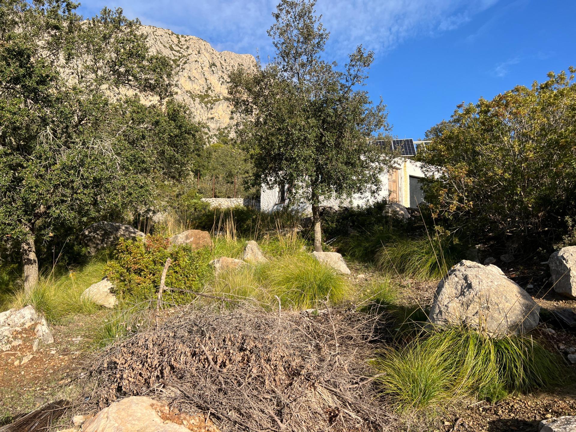 Industrial en venta  Puigpuñent  24/31