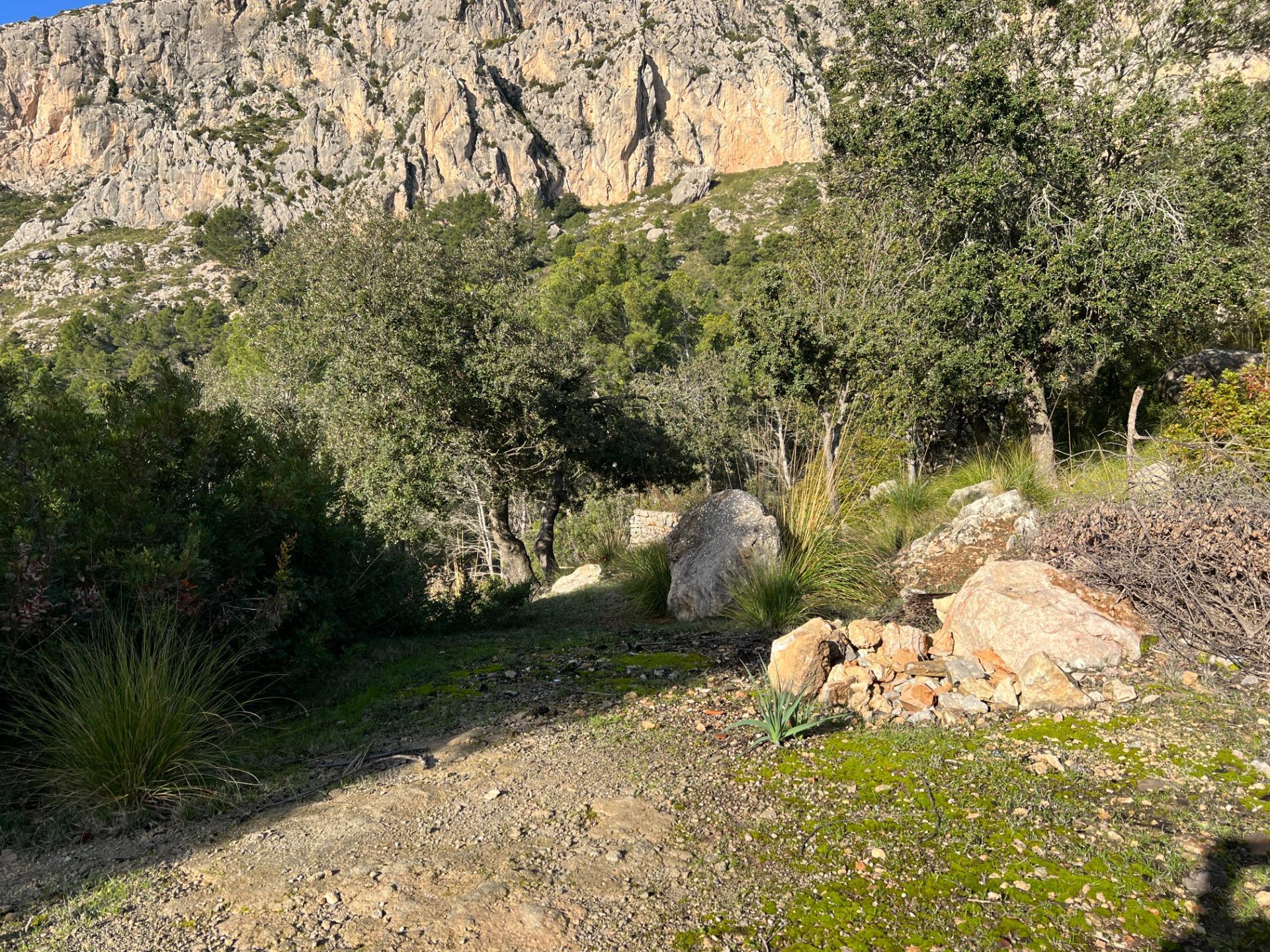 Industrial en venta  Puigpuñent  25/31