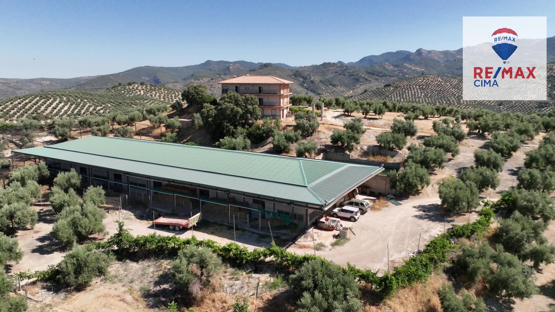 Fincas y solares-Venta-1264256