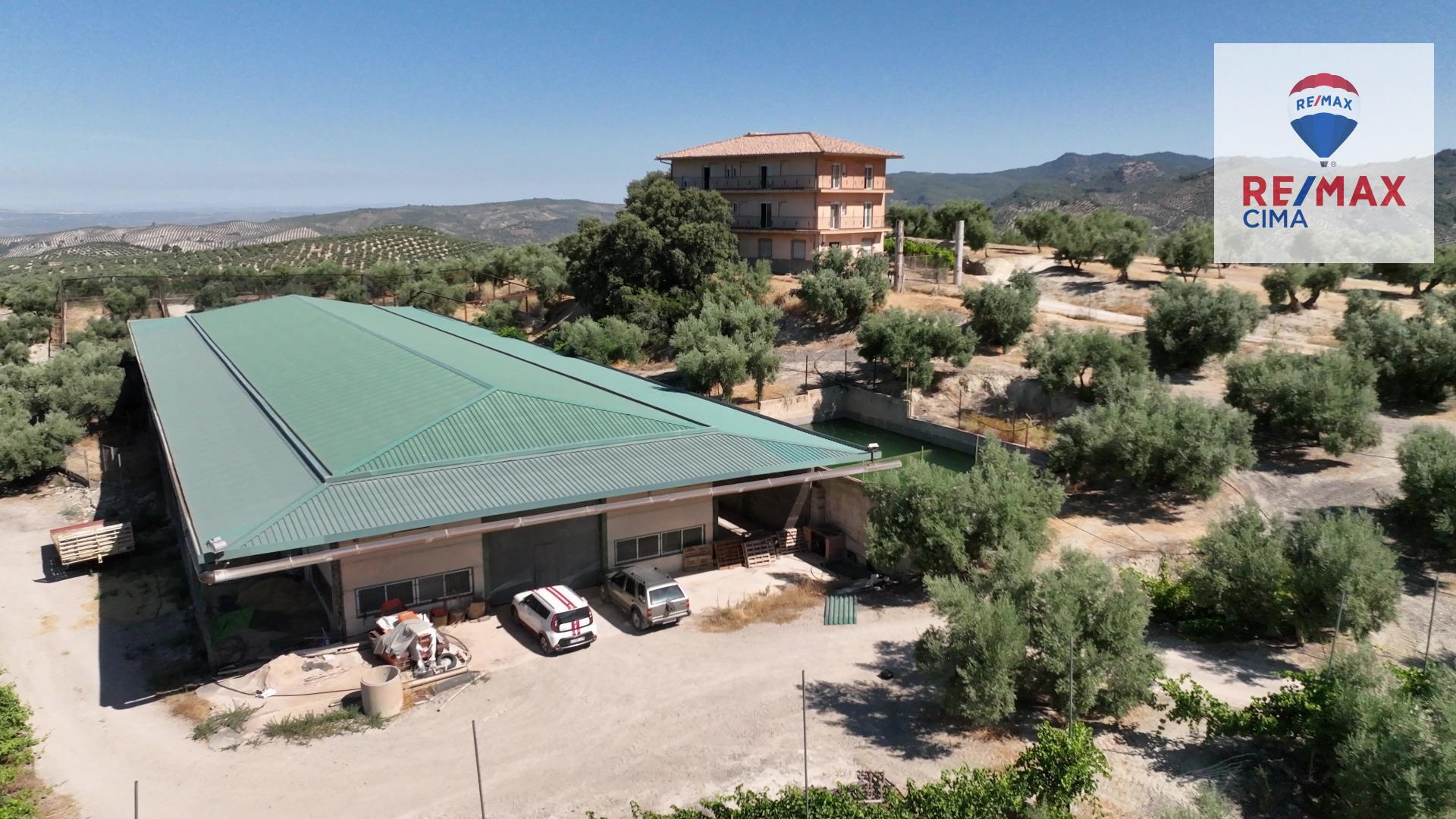Fincas y solares-Venta-La Iruela-1264256-Foto-2