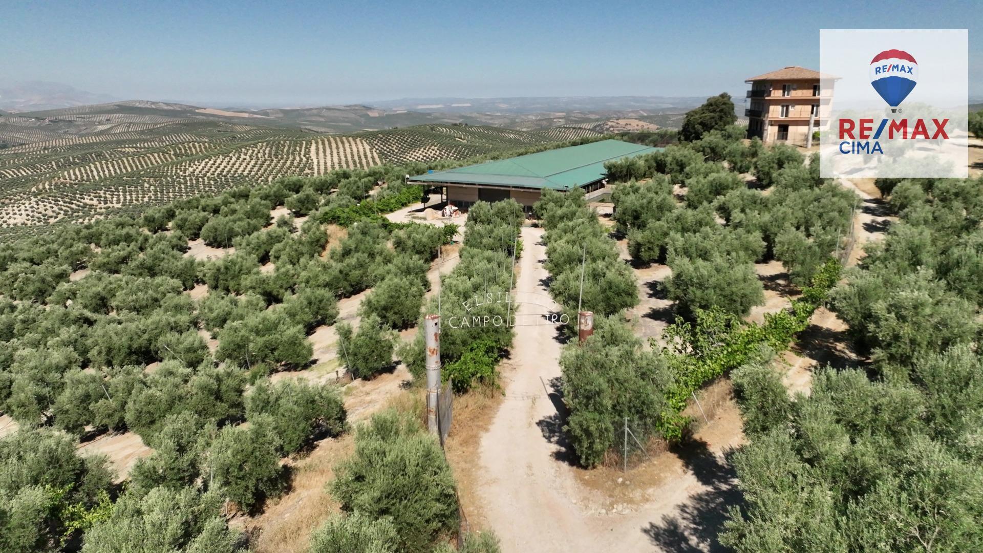 Fincas y solares-Venta-La Iruela-1264256-Foto-5