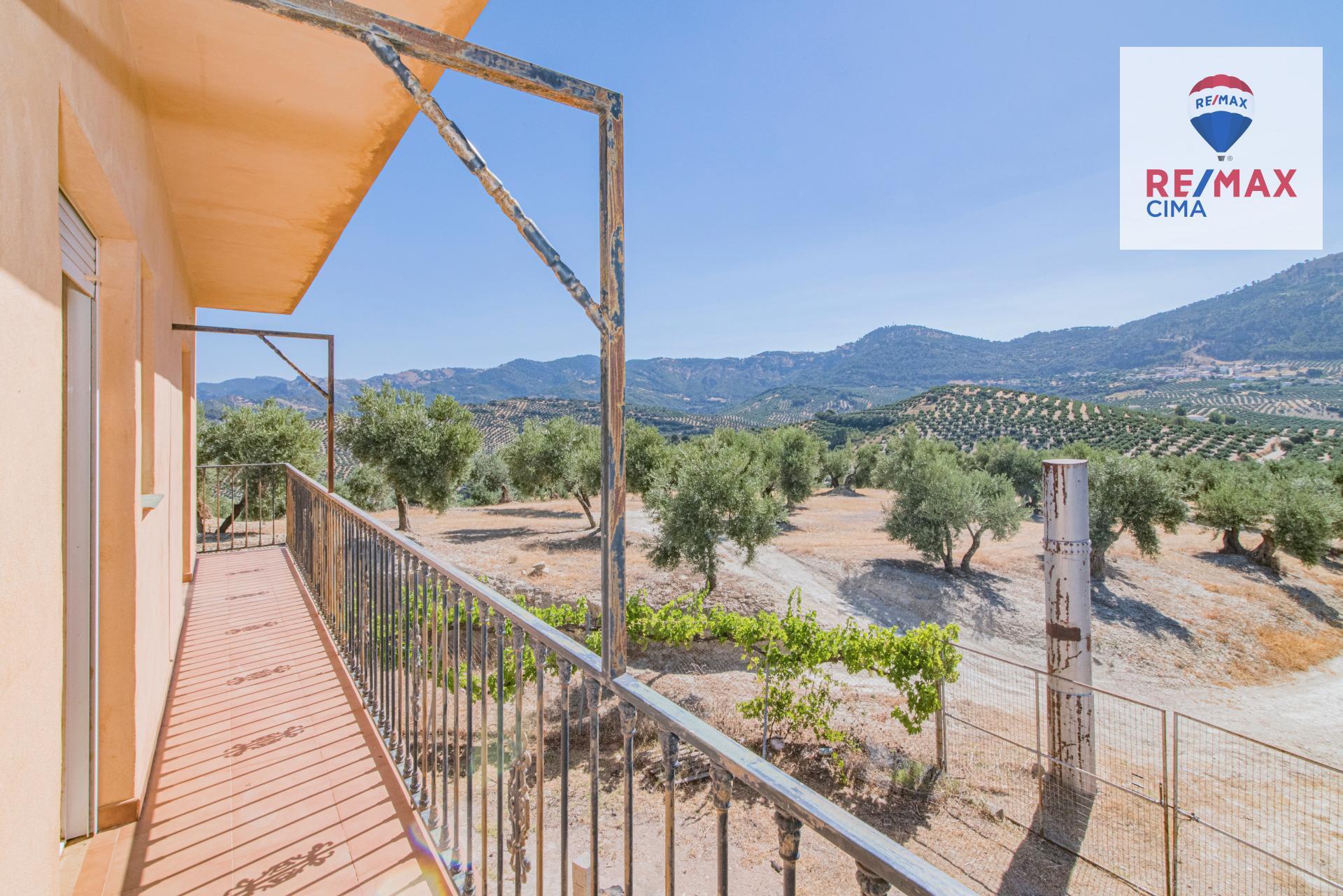 Fincas y solares-Venta-La Iruela-1264256-Foto-44