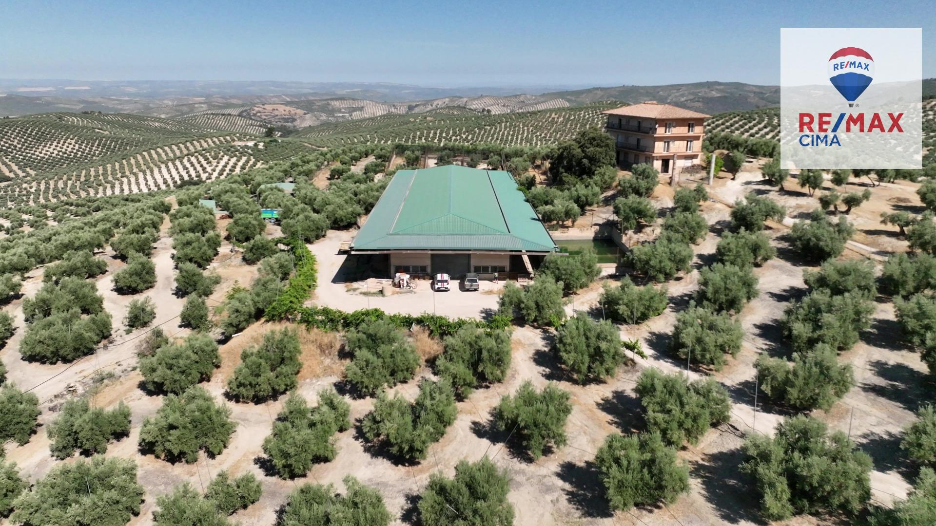 Fincas y solares-Venta-La Iruela-1264256-Foto-48