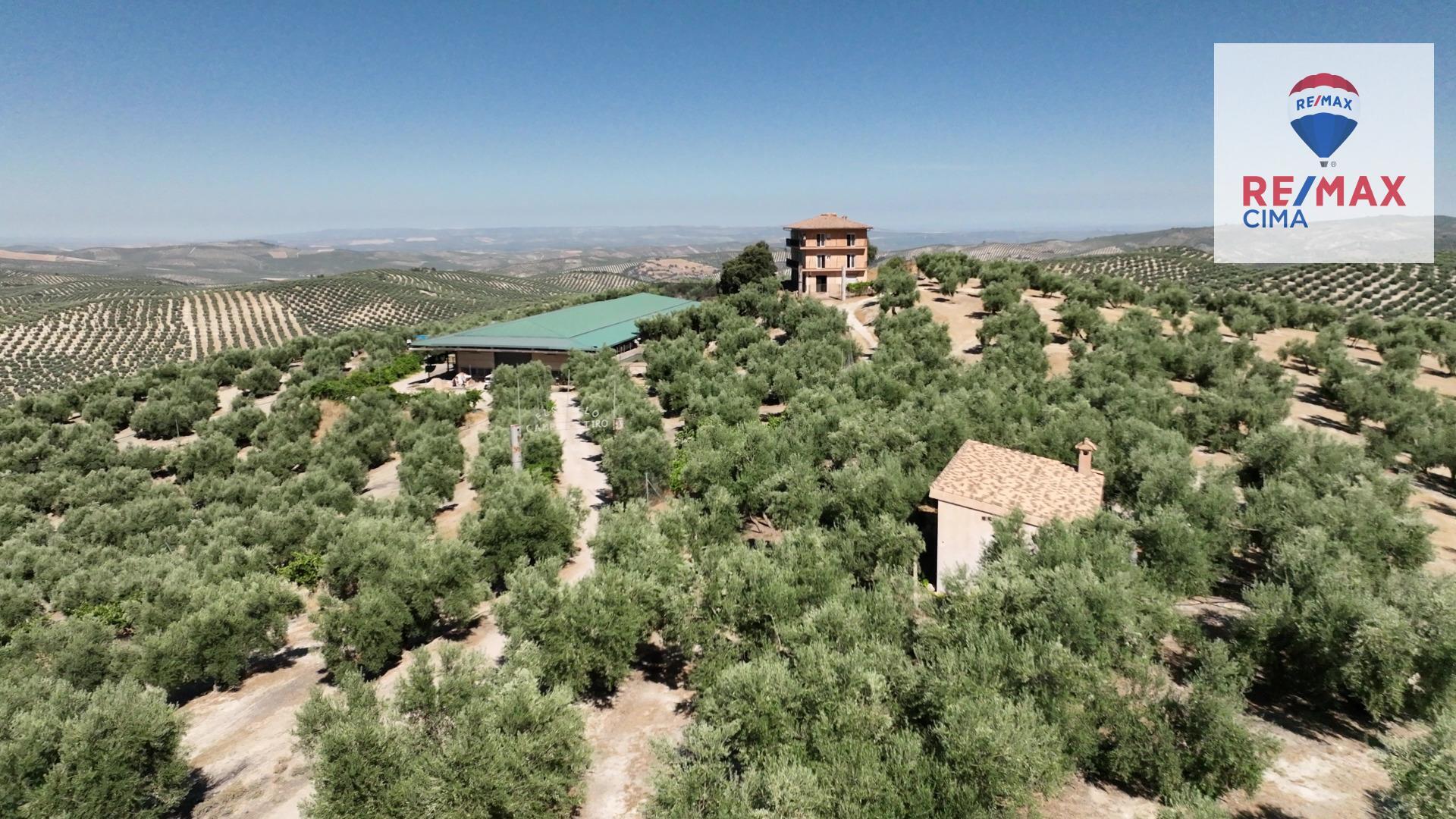 Fincas y solares-Venta-La Iruela-1264256-Foto-50
