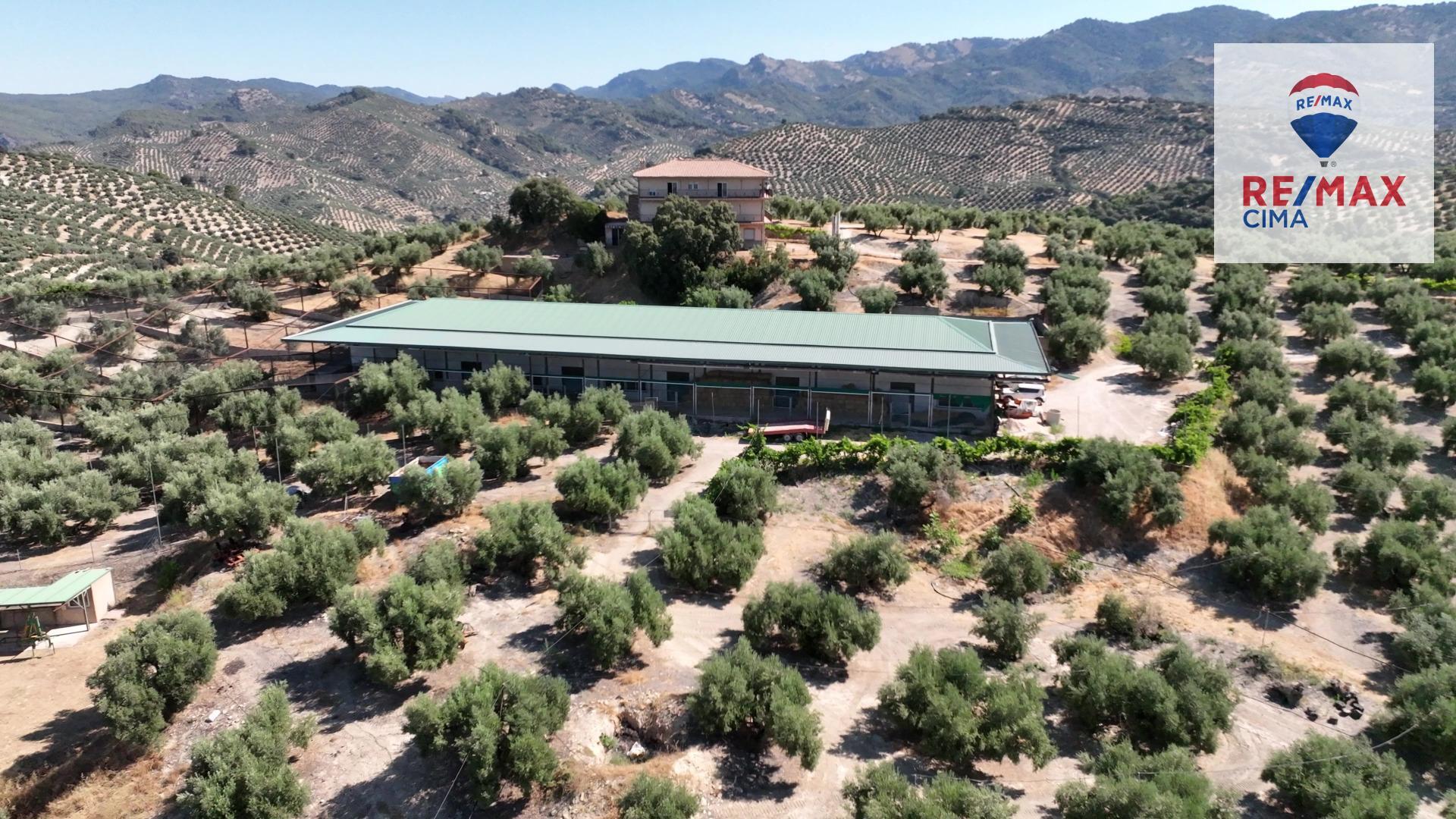 Fincas y solares-Venta-La Iruela-1264256-Foto-52