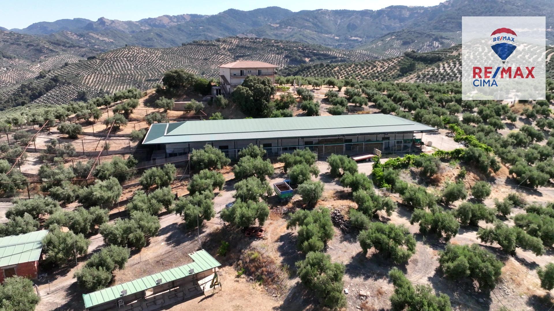 Fincas y solares-Venta-La Iruela-1264256-Foto-54